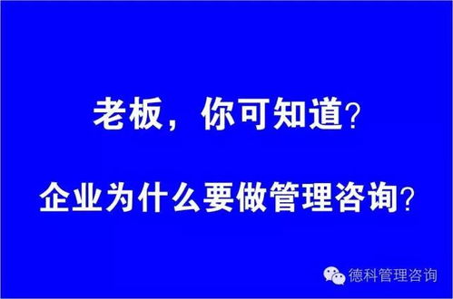 双轮驱动 管理咨询与企业形象策划如何协同助力企业卓越发展