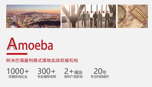 比佛利管理咨询 推动阿米巴模式落地，助力企业赢在管理